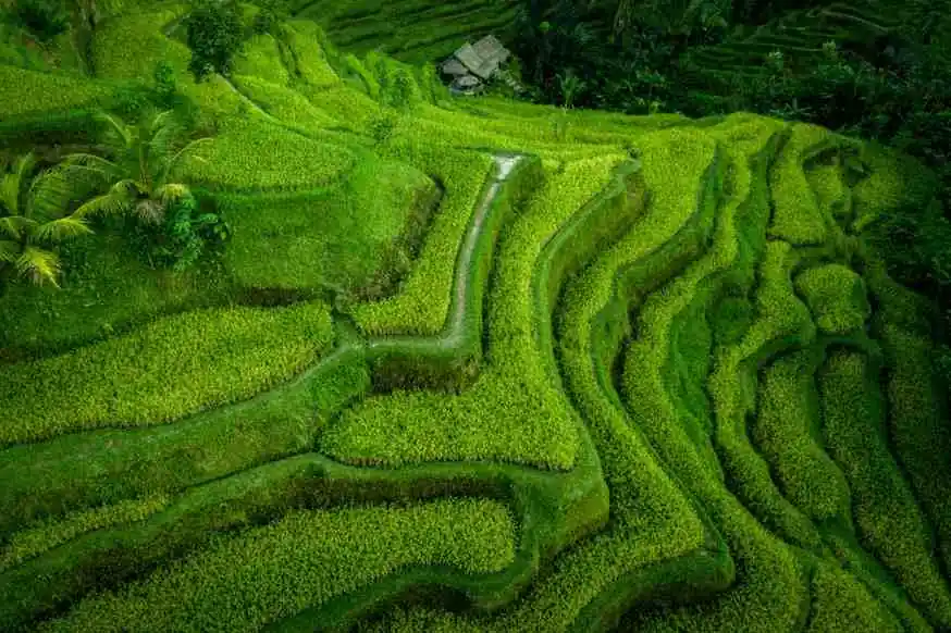 Bali Drone Photography: 52 Aerial Images From Indonesia